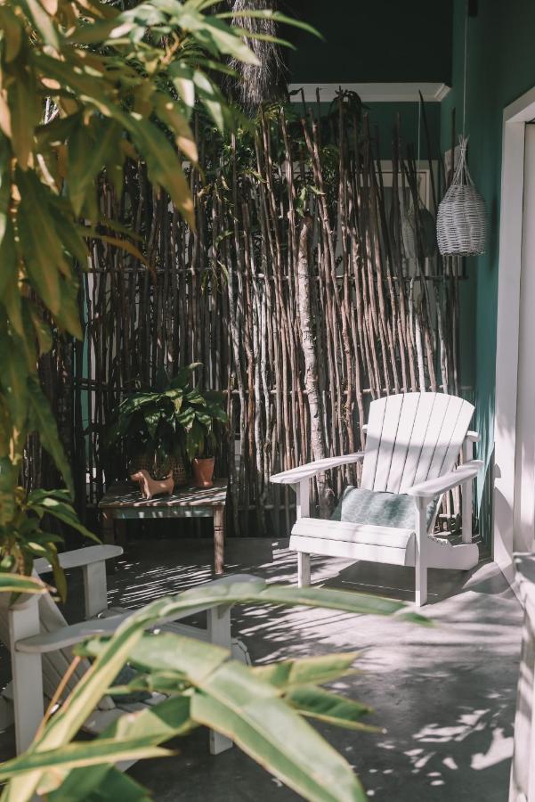 Cactus Lodge Pipa Praia de Pipa Экстерьер фото